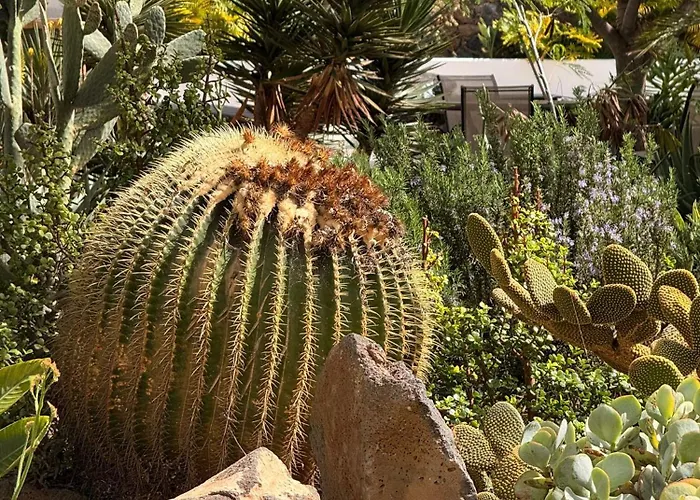 بيت للعطل Home2book Casa Julianna, Dream Oasis With Pool