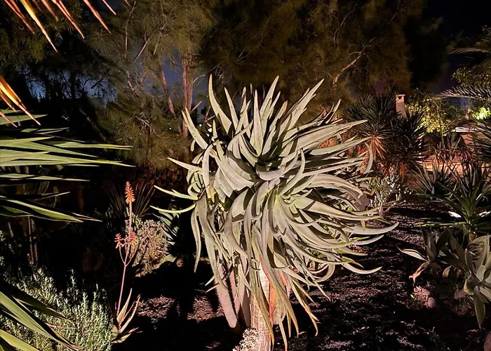 بيت للعطل Home2book Casa Julianna, Dream Oasis With Pool