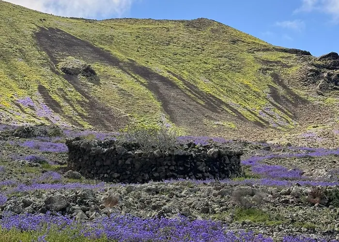 بيت للعطل Home2book Casa Julianna, Dream Oasis With Pool *