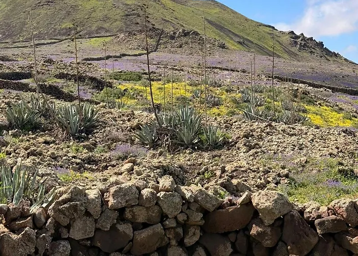 Home2book Casa Julianna, Dream Oasis With Pool Nyaraló Lajares
