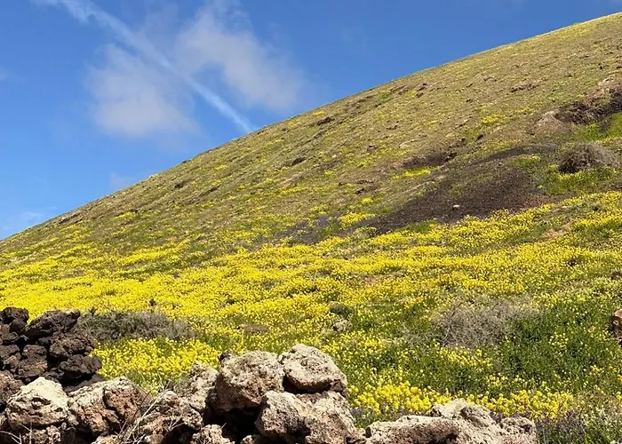 Home2book Casa Julianna, Dream Oasis With Pool *