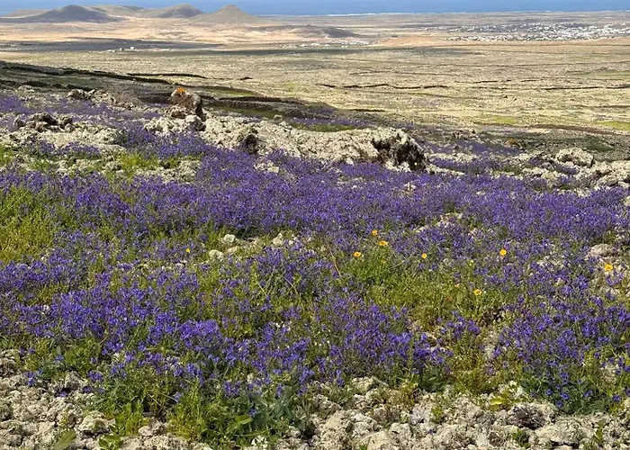 Home2book Casa Julianna, Dream Oasis With Pool Lajares